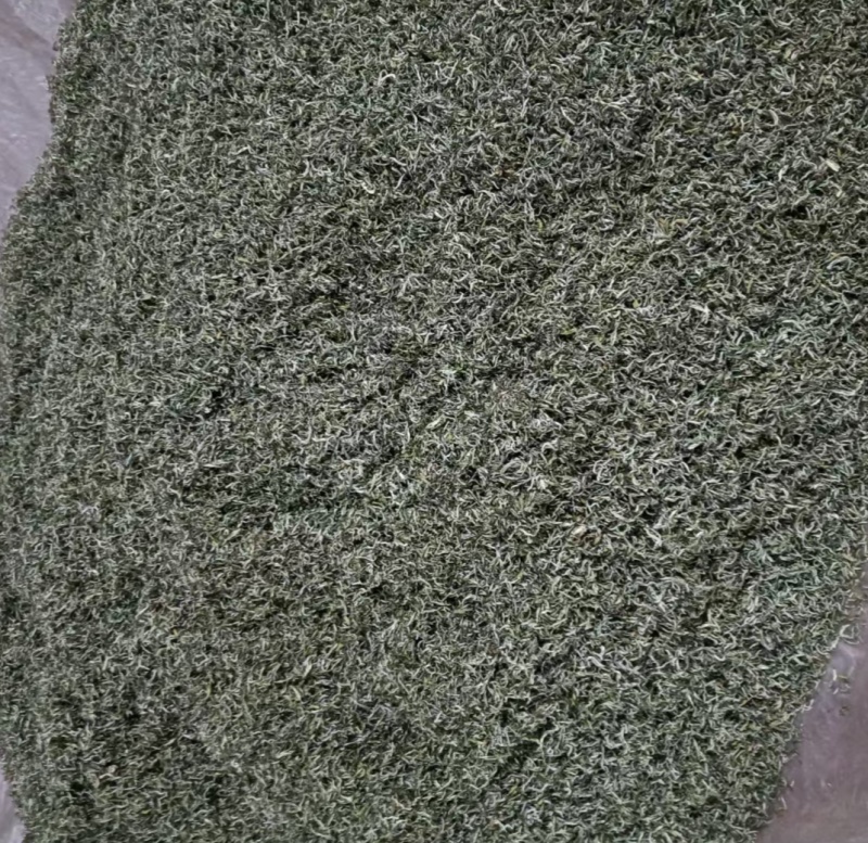 江西省遂川县狗牯脑茶绿茶品质保证诚信经营欢迎联系