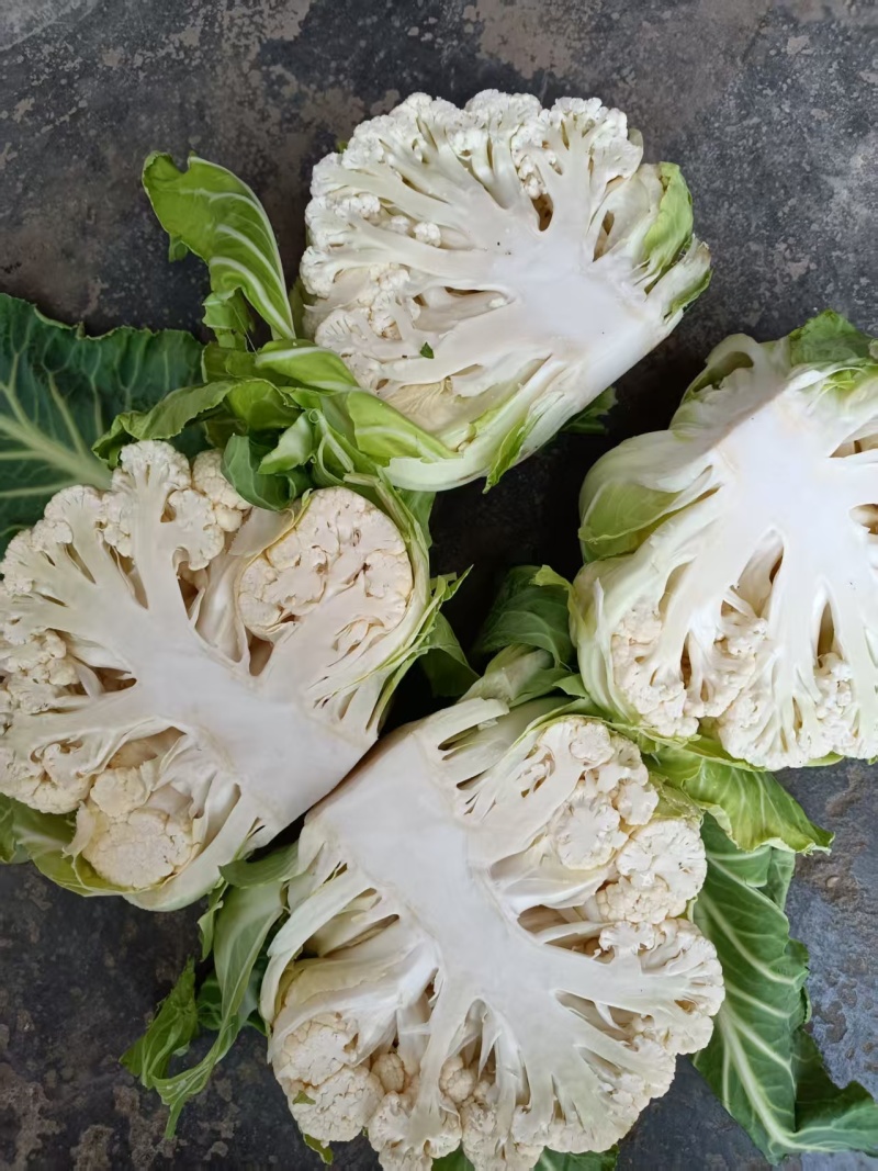 汉中白花菜花，花白紧凑，根白瓷实，适合加工厂，商超