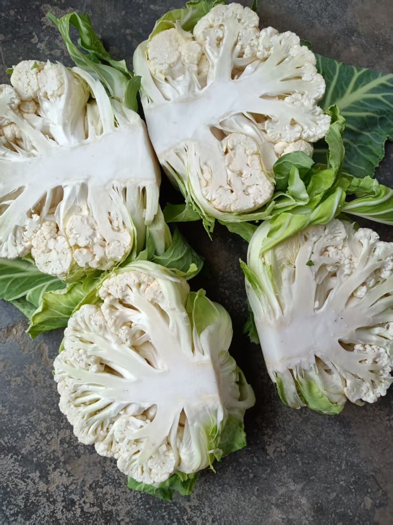 汉中白花菜花，花白紧凑，根白瓷实，适合加工厂，商超