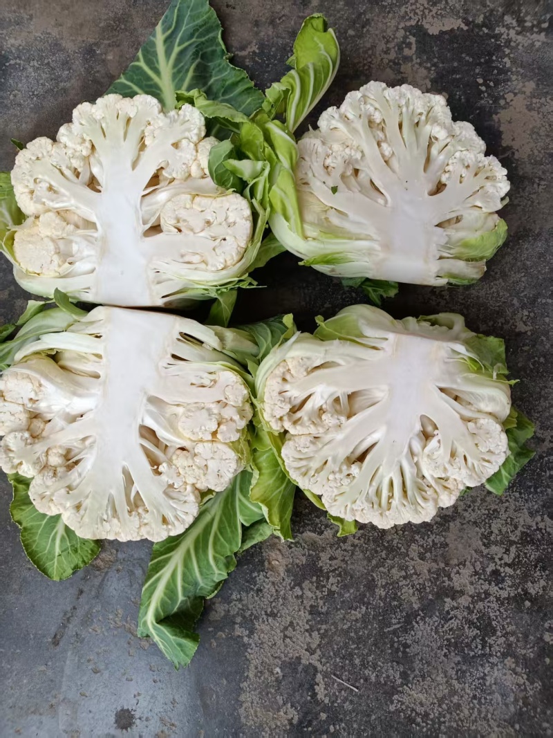 汉中白花菜花，花白紧凑，根白瓷实，适合加工厂，商超