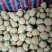汉中白花菜花，花白紧凑，根白瓷实，适合加工厂，商超