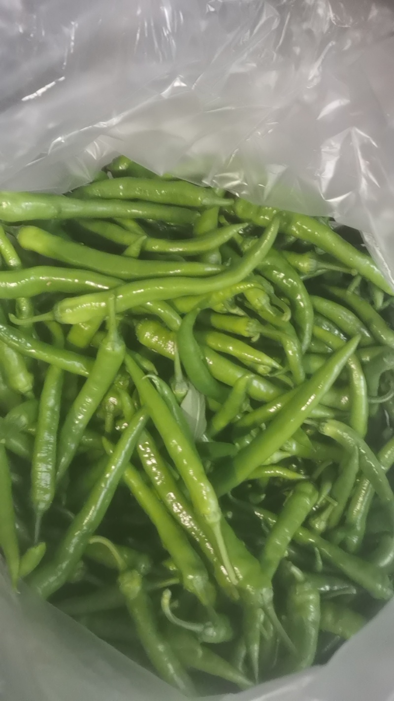 杭椒，线椒