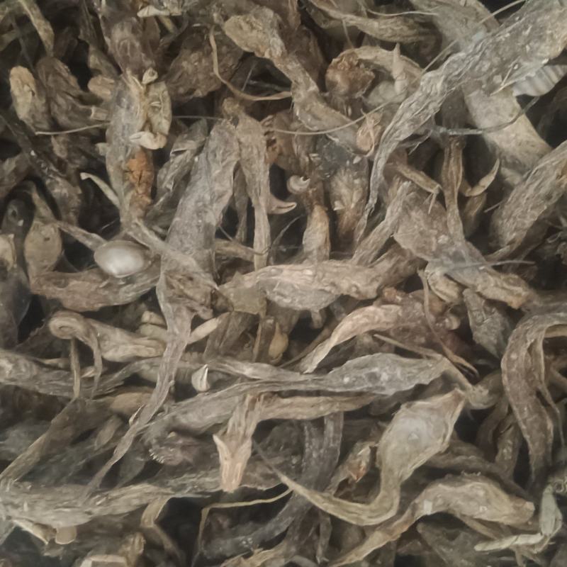 饲料鱼干鱼粉