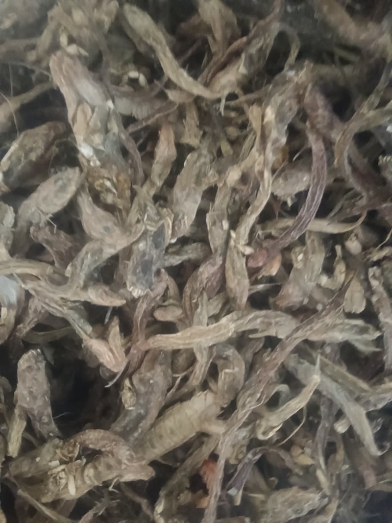饲料鱼干鱼粉