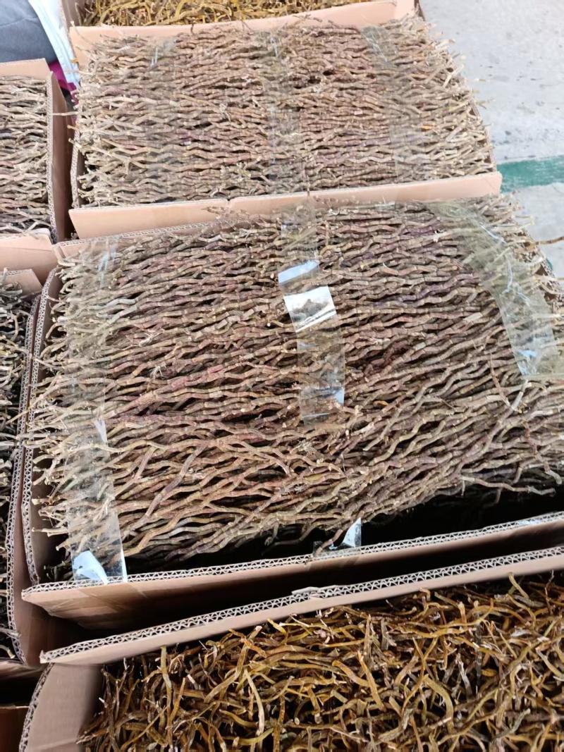 2025正品浙江铁皮石斛干条捆条寸金条、理条、芽条