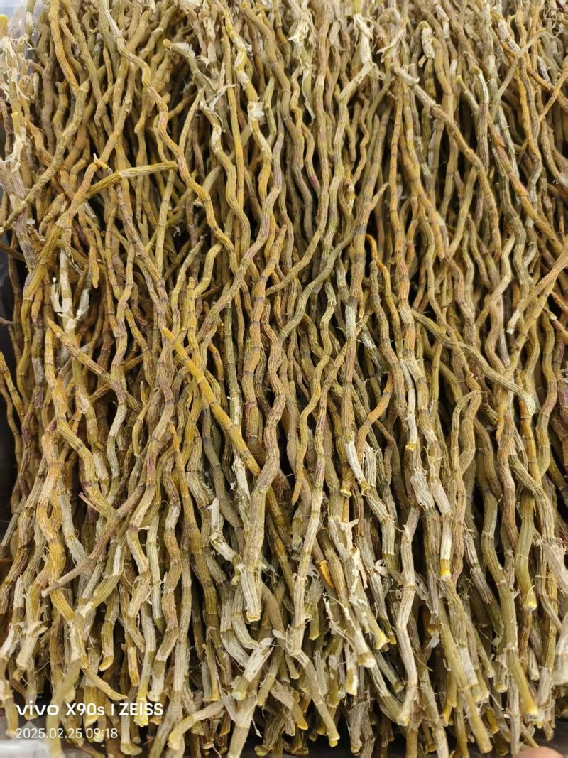 2025正品浙江铁皮石斛干条捆条寸金条、理条、芽条