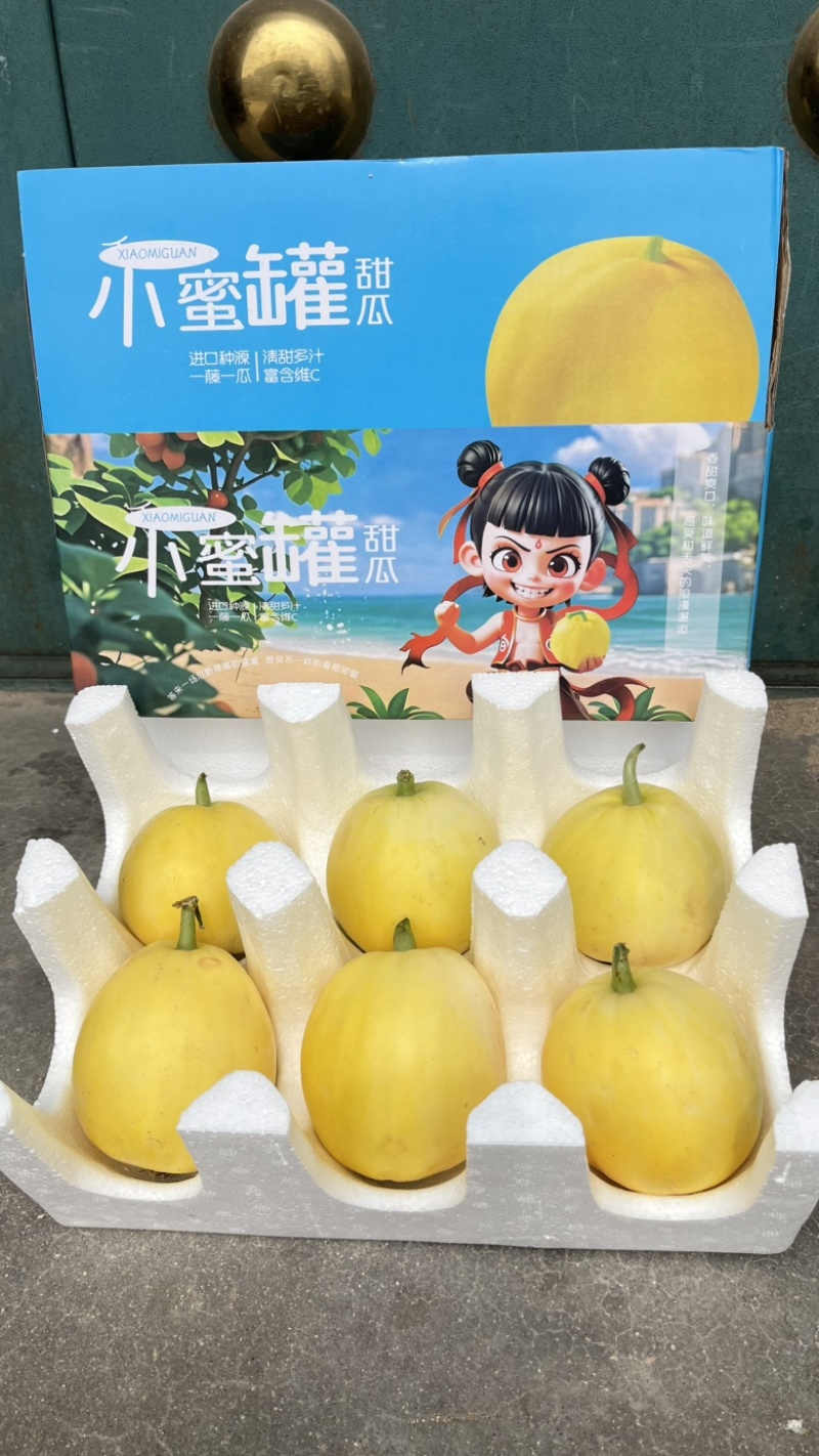 热销星甜20星甜甜瓜蜜罐小蜜蜂甜瓜4.5斤电商一件代发