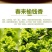 2025头茬榆钱儿时记忆中的美食(预售)