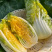江苏盐城黄心白菜小白菜新鲜发货品质保障运输便利欢迎联系