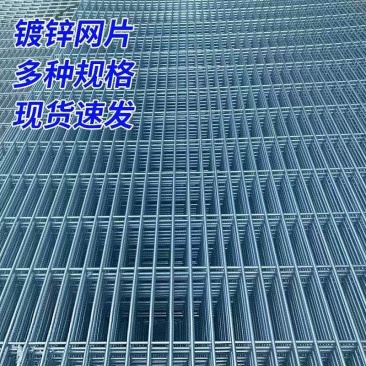 镀锌网片养殖铁丝网鸽笼狗笼网片长孔底网网格片加粗防护网定