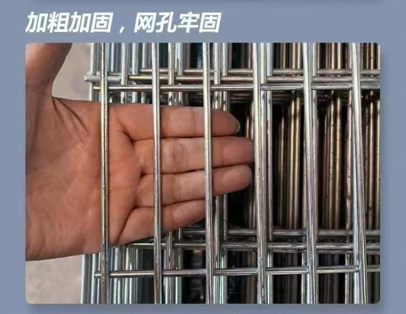 镀锌网片养殖铁丝网鸽笼狗笼网片长孔底网网格片加粗防护网定