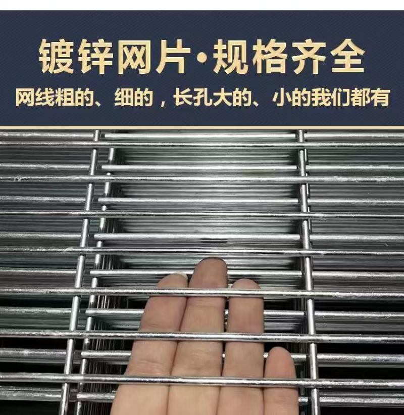 镀锌网片养殖铁丝网鸽笼狗笼网片长孔底网网格片加粗防护网定