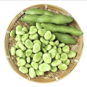 新鲜蚕豆