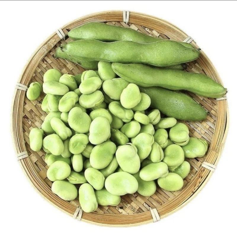 新鲜蚕豆