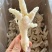 无骨鸡爪凤爪