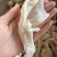 无骨鸡爪凤爪