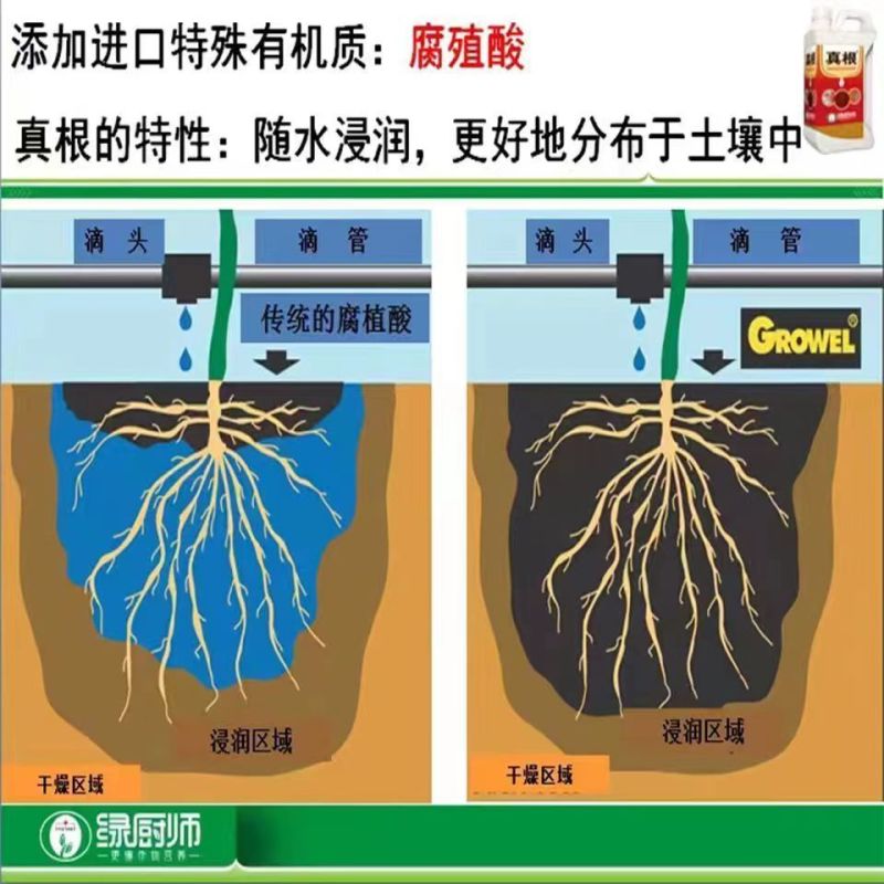 龙灯真根含腐植酸水溶肥料生根剂生根壮苗生根养根冲施肥