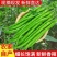 农家自种辣椒新鲜香辣椒二荆条辣椒青辣椒