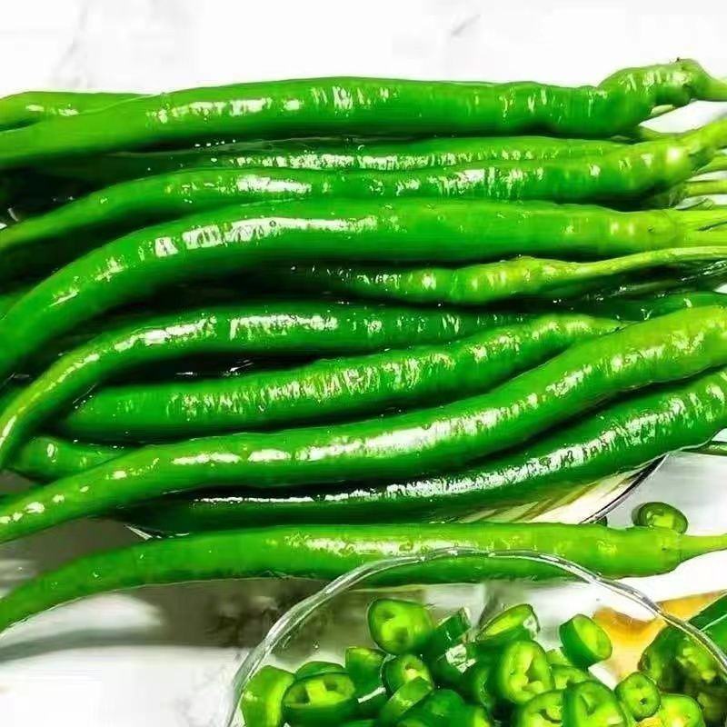 农家自种辣椒新鲜香辣椒二荆条辣椒青辣椒