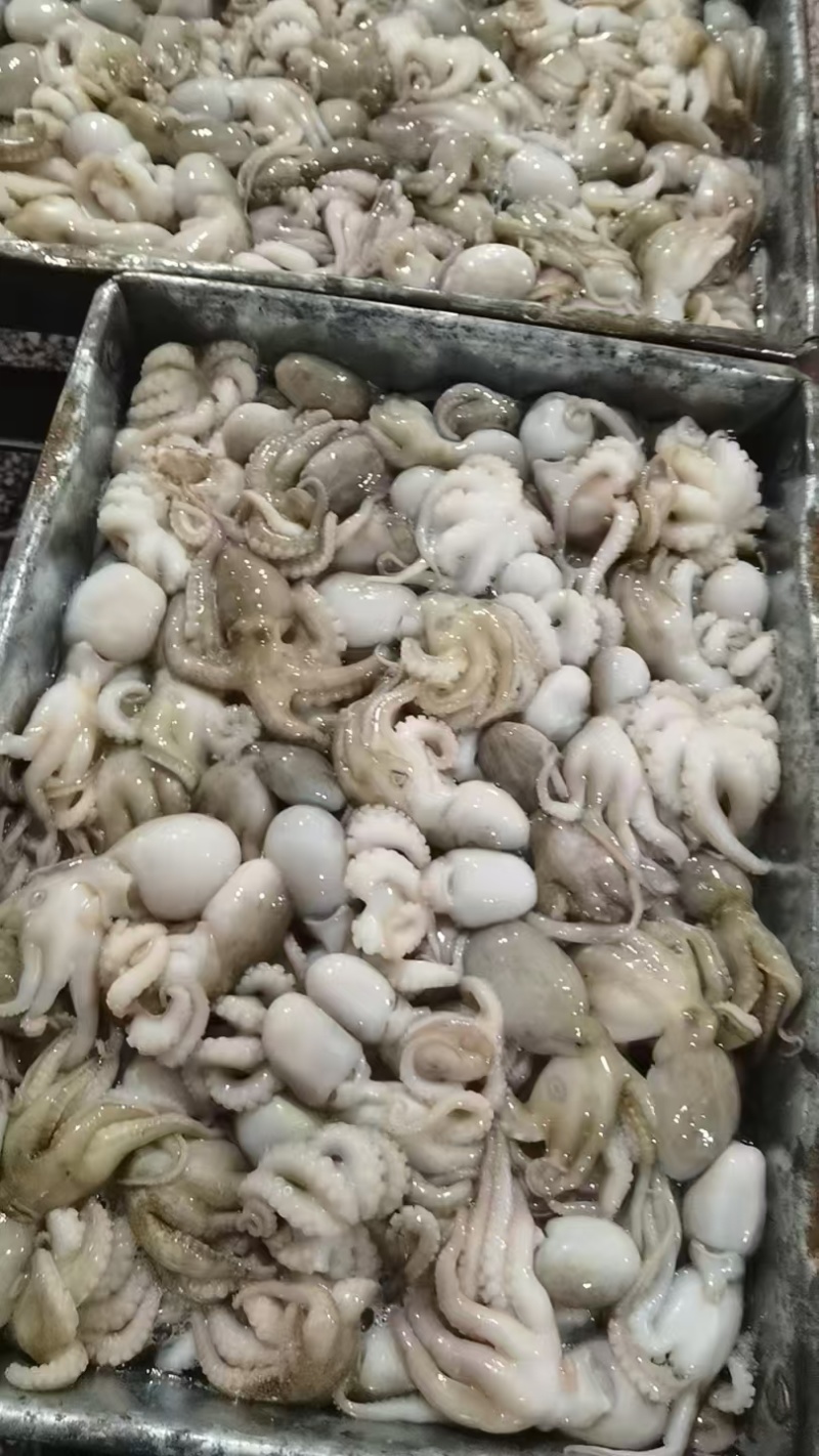 花八爪