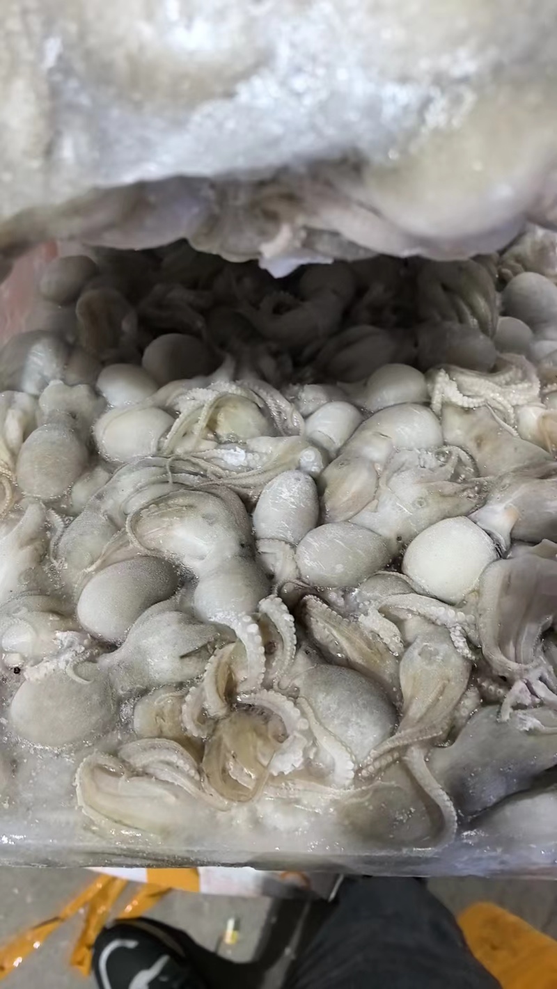 花八爪