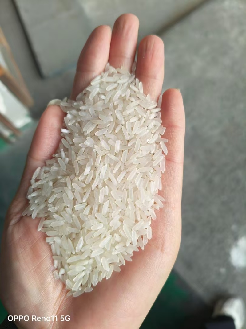 大米丰良优23年10万吨有检测报告样品免费