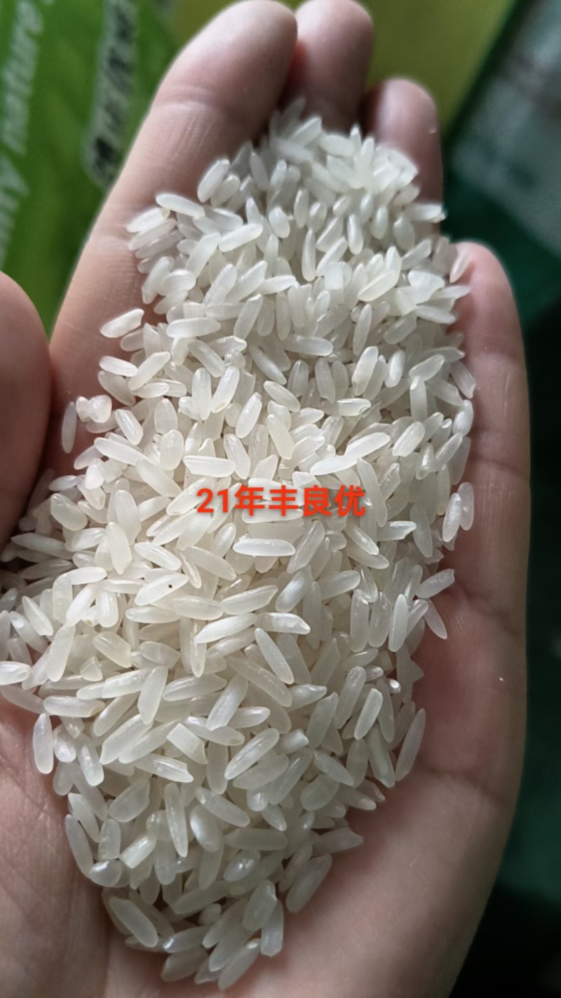 大米丰良优23年10万吨有检测报告样品免费