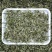 早春绿茶【翠茗】