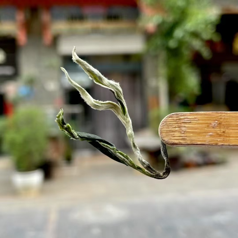 早春绿茶【翠茗】