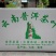 早春绿茶【翠茗】