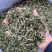 早春绿茶【翠茗】