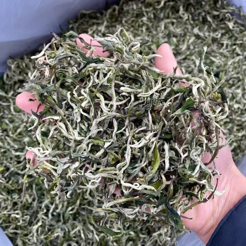 早春绿茶【翠茗】
