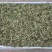 早春绿茶【翠茗】