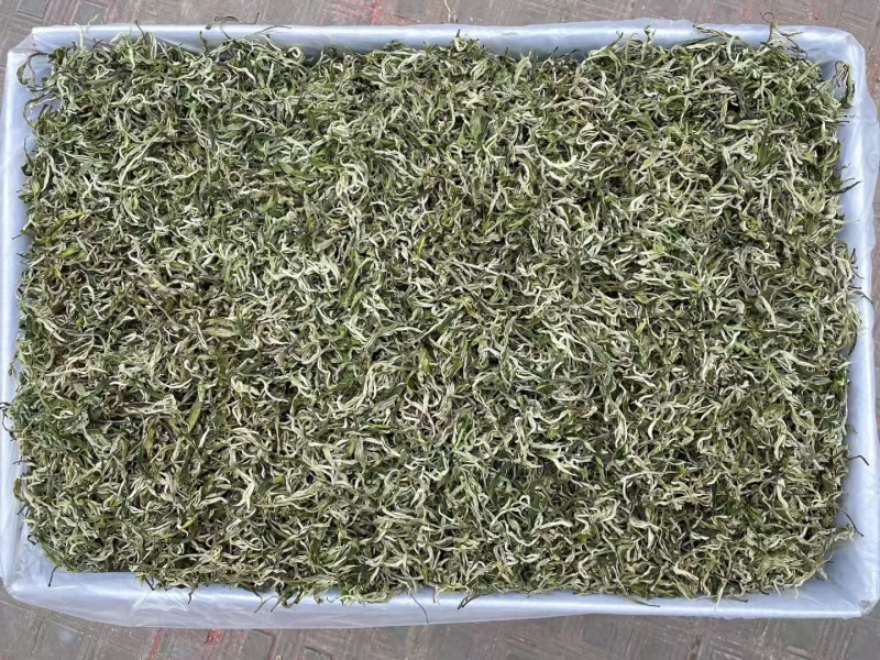 早春绿茶【翠茗】