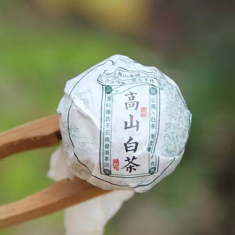 大雪山白茶古树白茶