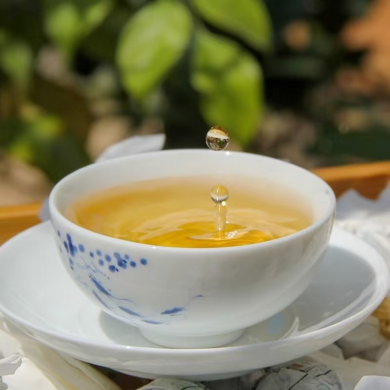 大雪山白茶古树白茶