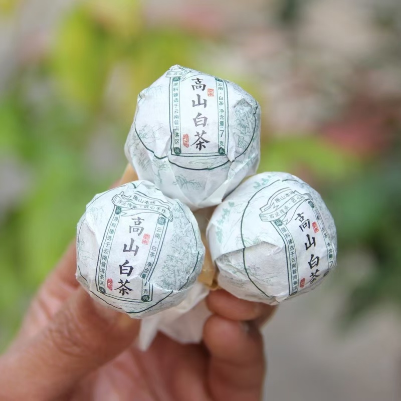大雪山白茶古树白茶