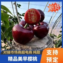 山东美早大樱桃大量现货供应，质优价廉，欢迎选购。