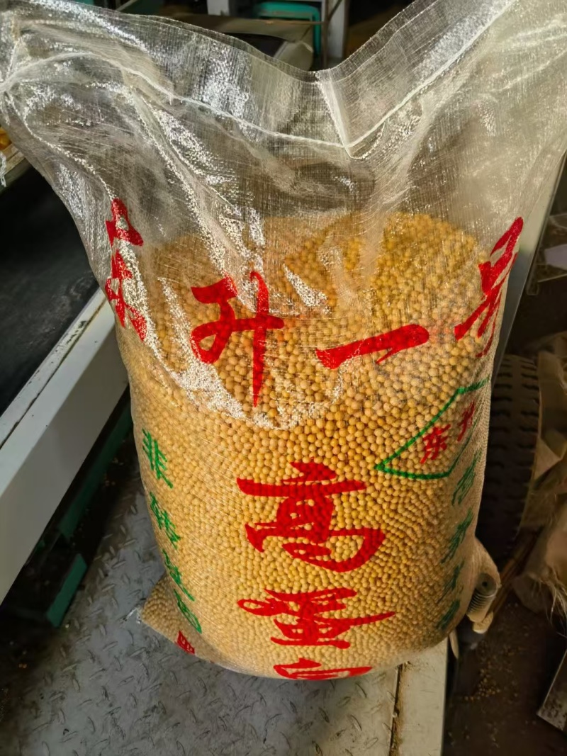 大豆，大量供货，市场加工厂，磨豆腐，打豆浆，全国发货