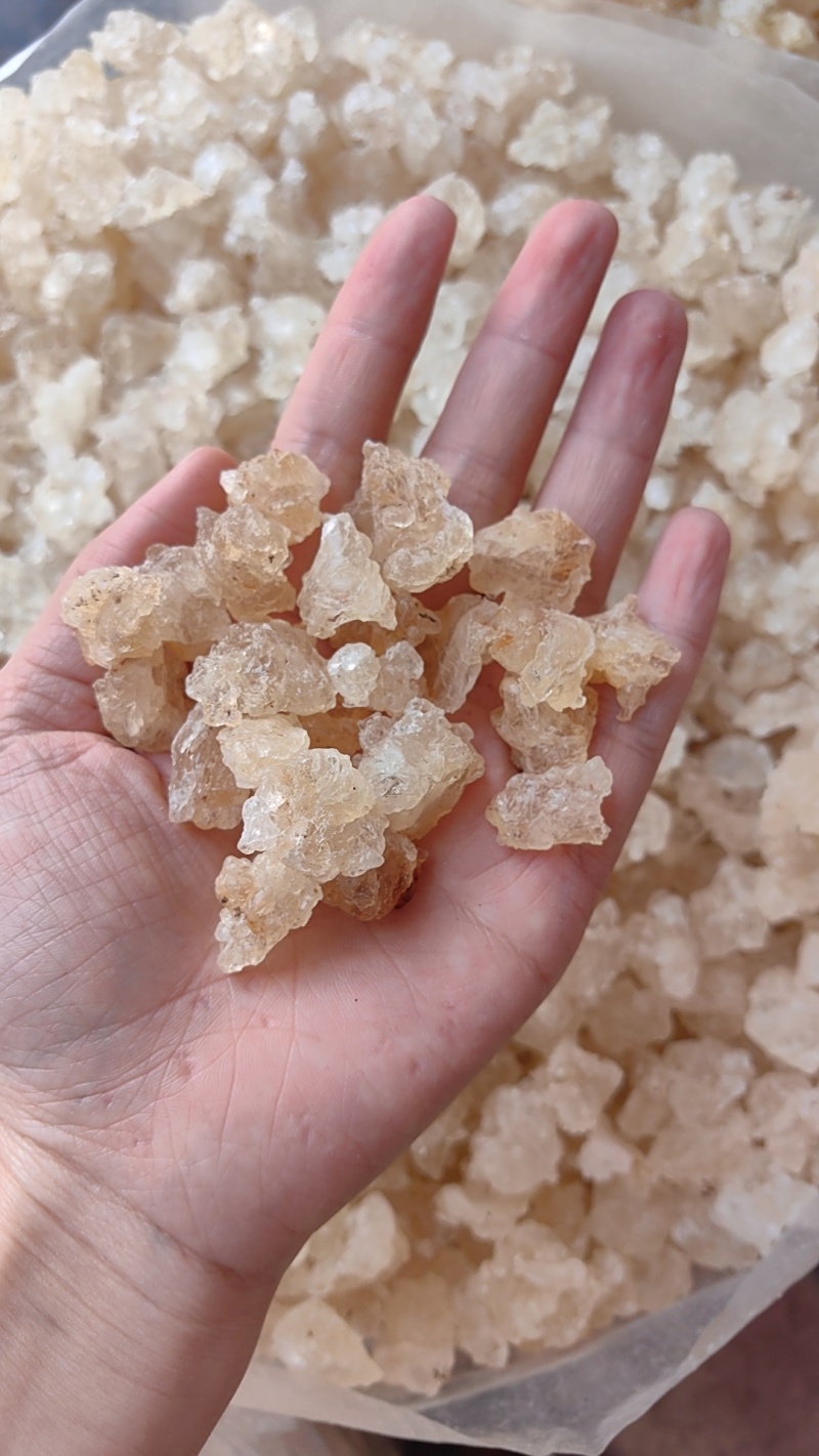 雪燕拉丝雪燕各种规格批发零售