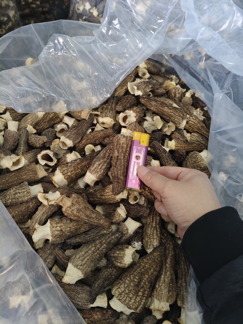干羊肚菌