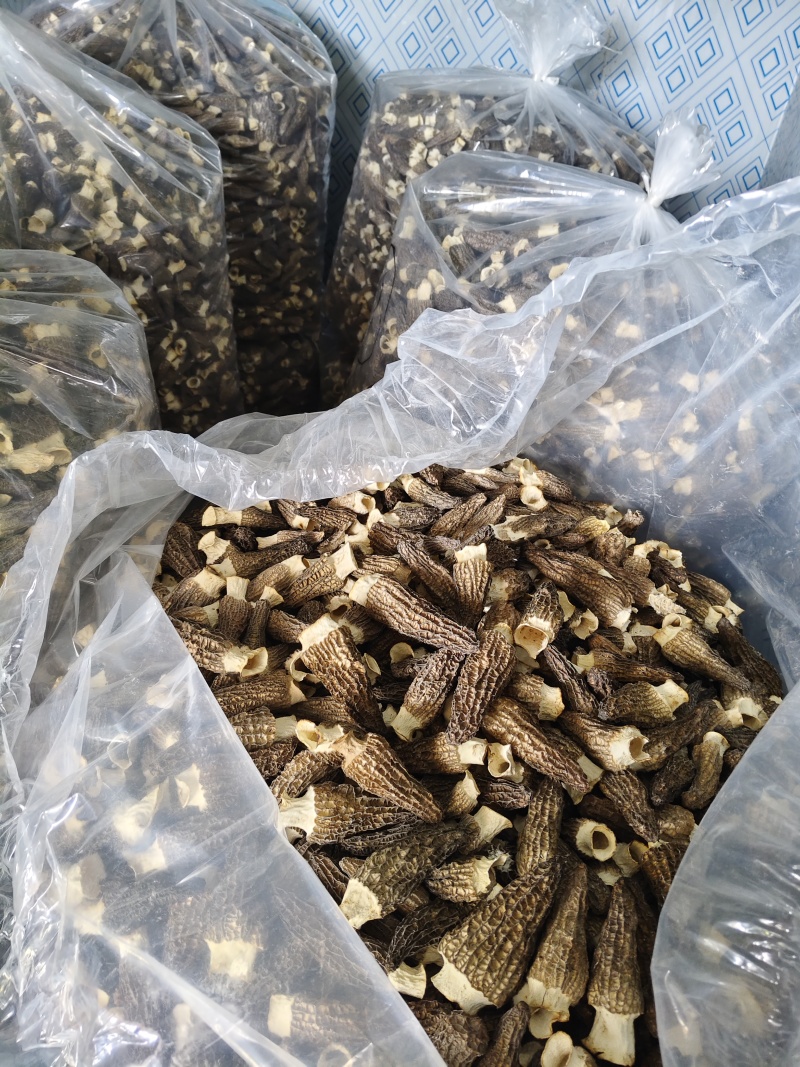 干羊肚菌