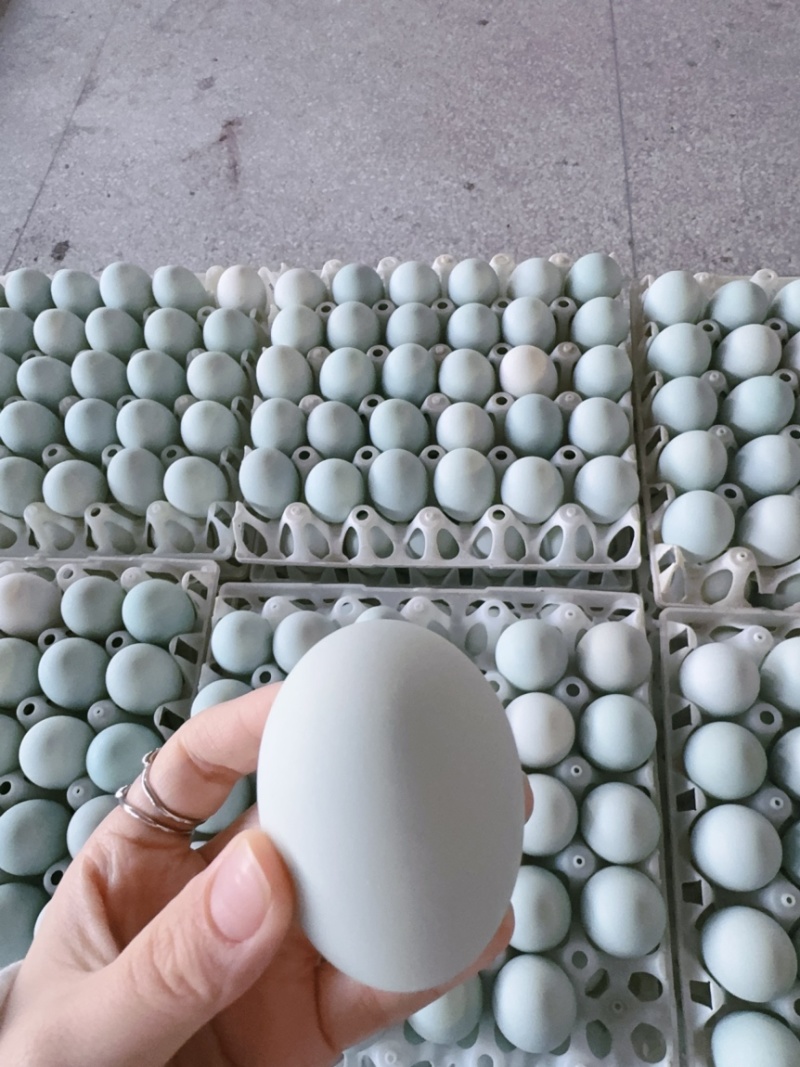 高邮咸鸭蛋起沙流油熟咸鸭蛋整箱批发
