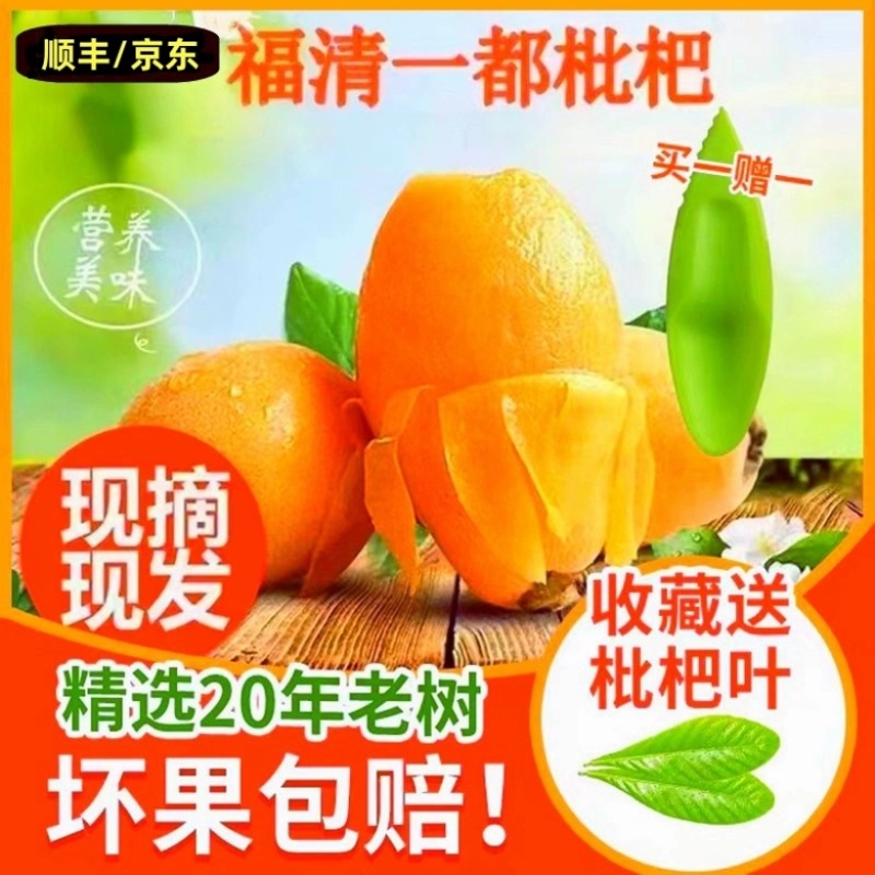 福清一都枇杷现摘现发鲜果甜琵琶孕妇时令水果福建枇杷