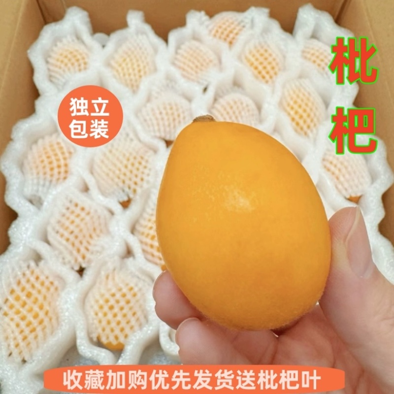 福清一都枇杷现摘现发鲜果甜琵琶孕妇时令水果福建枇杷