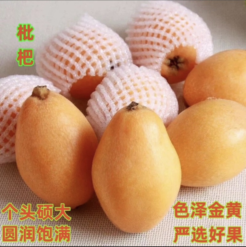 福清一都枇杷现摘现发鲜果甜琵琶孕妇时令水果福建枇杷