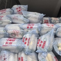 靓白萝卜
