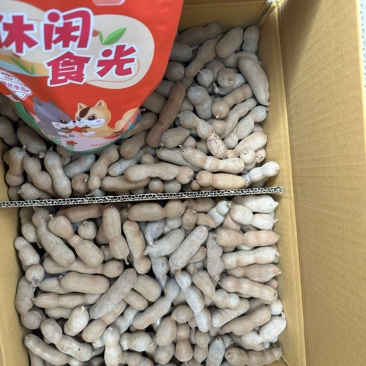 酸甜角甜酸角酸甜甜角大量有货直接对接