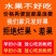 攀枝花米易枇杷全国批发量大优惠