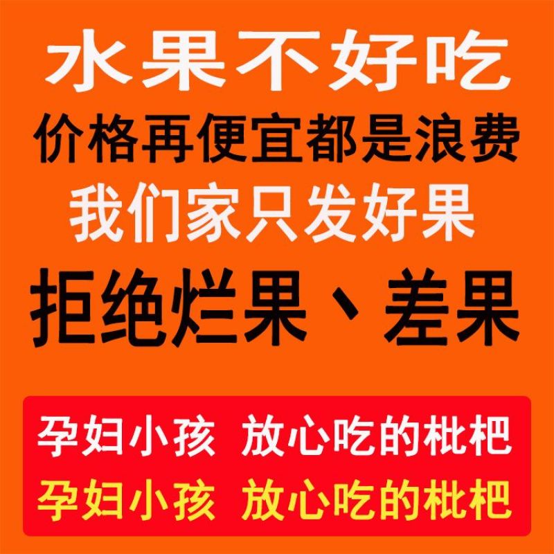 攀枝花米易枇杷全国批发量大优惠